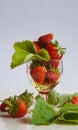 Strawberries in rum Royalty Free Stock Photo