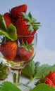 Strawberries in rum Royalty Free Stock Photo