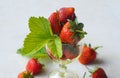 Strawberries in rum Royalty Free Stock Photo