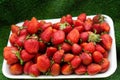 Strawberries on sale in a street bazaar. Red ripe strawberry background