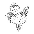 Strawberries sketch. Contour, silhouette, logo. Vector isolated image. Unique works for Your business.