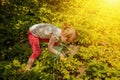 Strawberries in a small bucket against organic strawberry farm background Royalty Free Stock Photo