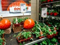 Strawberries in small red pots at the TOOM Der Baumarkt