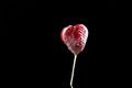 Strawberries on a stick, cream with strawberries on a dark background isolate Royalty Free Stock Photo