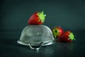 Strawberries with strainer on dark background with water drops Royalty Free Stock Photo