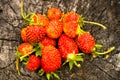 Strawberries on the stump.