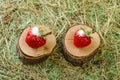 Strawberries on the stump, sprinkled with sugar.