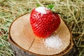 Strawberries on the stump, sprinkled with sugar.