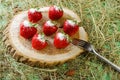 Strawberries on the stump, sprinkled with sugar.
