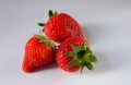 Strawberries Royalty Free Stock Photo