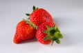 Strawberries Royalty Free Stock Photo