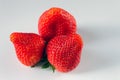 Strawberries Royalty Free Stock Photo