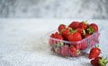 Strawberries in a tray on a concrete gray background with place for text. Horizontal focus Royalty Free Stock Photo