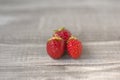 Strawberries in urban orchard Royalty Free Stock Photo