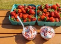 Strawberries and vanilla ice frozen joghurt cream refreshing cold summer dessert