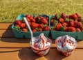 Strawberries and vanilla ice frozen joghurt cream refreshing cold summer dessert