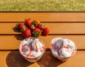 Strawberries and vanilla ice frozen joghurt cream refreshing cold summer dessert