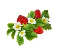 Strawberries waved arrangement with flowers, berries and leaves Royalty Free Stock Photo
