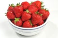 Strawberries in white bowl with blue trim