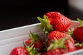 Strawberries in a white container. Background of red ripe berries Royalty Free Stock Photo