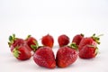 Strawberries on White Royalty Free Stock Photo