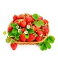 Strawberries in a wicker basket isolated on white background. Royalty Free Stock Photo