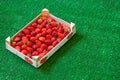 Strawberries in a wooden box on grass Royalty Free Stock Photo