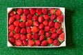 Strawberries in a wooden box on grass Royalty Free Stock Photo