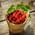 Strawberries in a wooden bucket are blooming on the table. Royalty Free Stock Photo