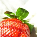 Strawberry Royalty Free Stock Photo