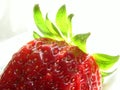 Strawberry Royalty Free Stock Photo