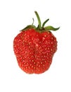 Strawberry Royalty Free Stock Photo