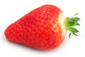 Strawberry Royalty Free Stock Photo