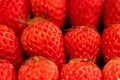 Strawberry Royalty Free Stock Photo