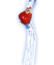 Strawberry Royalty Free Stock Photo