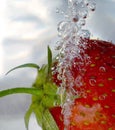 Strawberry Royalty Free Stock Photo