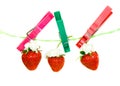 Strawberry Royalty Free Stock Photo