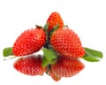 Strawberry Royalty Free Stock Photo