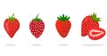 Strawberry collection, red strawberry fruits, strawberry backgrounds, strawberry vector illustration.
