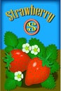 strawberry11 ABC hornbook alphabet Children's