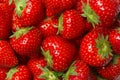 Strawberry Royalty Free Stock Photo