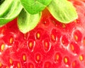 Strawberry Royalty Free Stock Photo