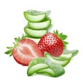 Strawberry and aloe vera slices isolated on white background Royalty Free Stock Photo