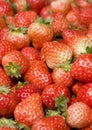 strawberry background Royalty Free Stock Photo