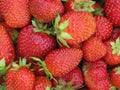 Strawberry background