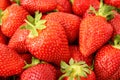 Strawberry background close up. Many fresh red berries with green leaves Royalty Free Stock Photo