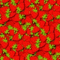 strawberry background of illustrated strawberries in random order