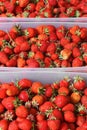 Strawberry. Background of strawberries. Tasty background