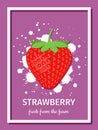 Strawberry fresh from farm, poster. Vector illustration. Royalty Free Stock Photo