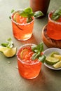 Strawberry basil margarita with lime and salted rim, spring or summer cocktail or mocktail Royalty Free Stock Photo